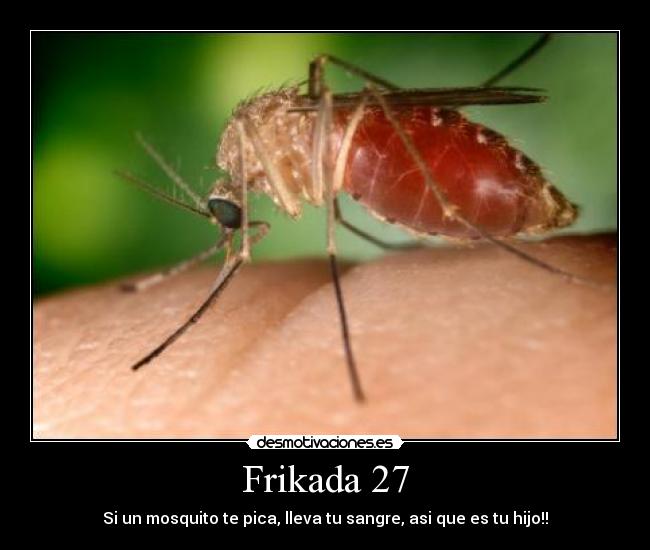 carteles diego_party clanvirus tengo bollicao porque clanfuego melorobo hipsalami desmotivaciones