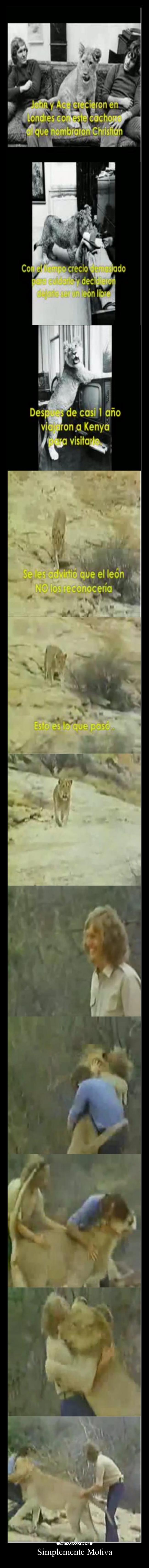 Simplemente Motiva -