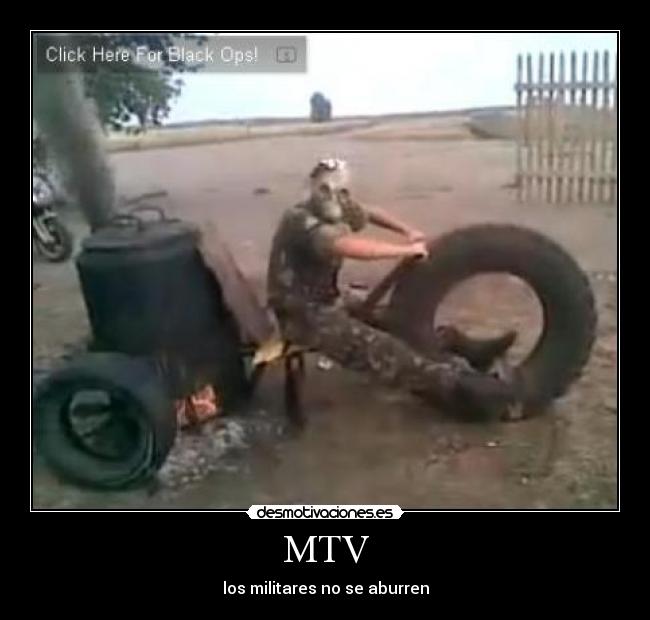 MTV - 