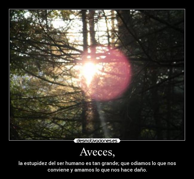 Aveces, - la estupidez del ser humano es tan grande; que odiamos lo que nos
conviene y amamos lo que nos hace daño.
