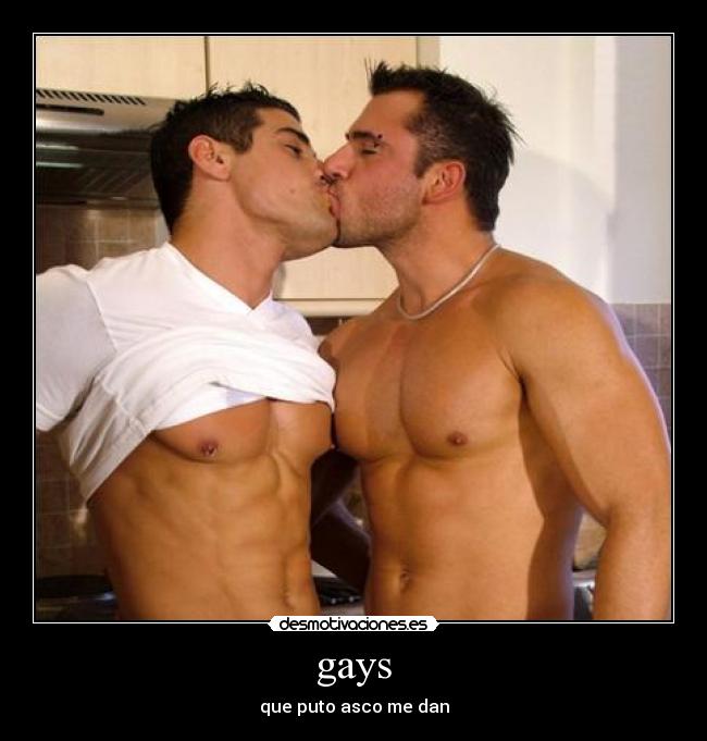 gays - 