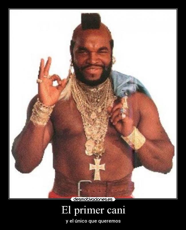 El primer cani - y el único que queremos