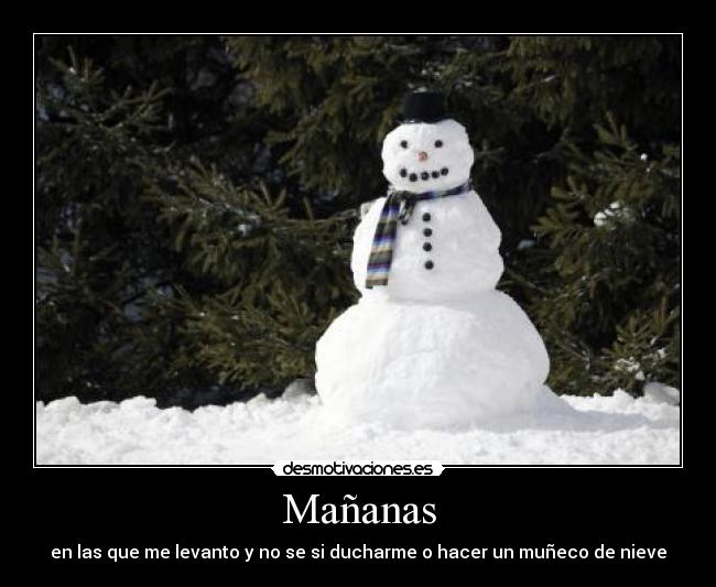 Mañanas - en las que me levanto y no se si ducharme o hacer un muñeco de nieve