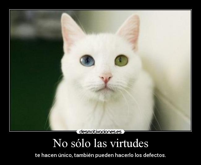 No sólo las virtudes - te hacen único, también pueden hacerlo los defectos.