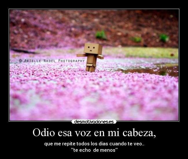 Odio esa voz en mi cabeza, - que me repite todos los dias cuando te veo..
te echo  de menos