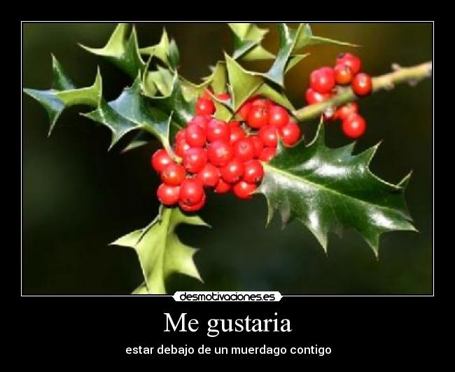 carteles amor desmotivaciones