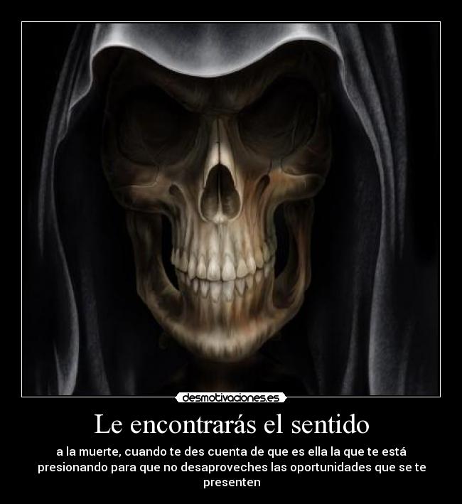 Le encontrarás el sentido -