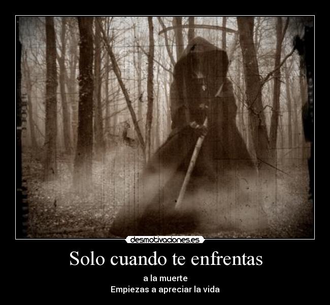 carteles asdfgh desmotivaciones