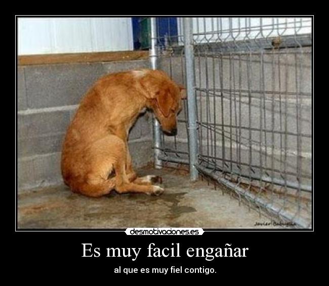 Es muy facil engañar -