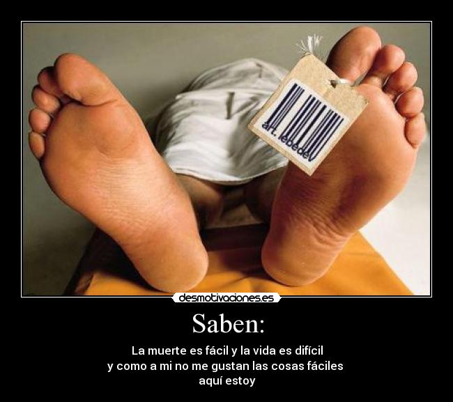 Saben: - 