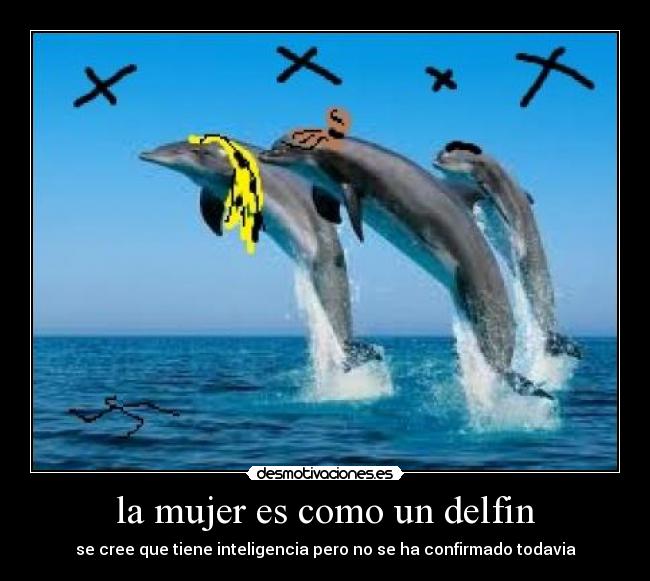 la mujer es como un delfin - se cree que tiene inteligencia pero no se ha confirmado todavia