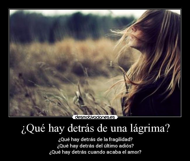 carteles desmotiva desmotivaciones