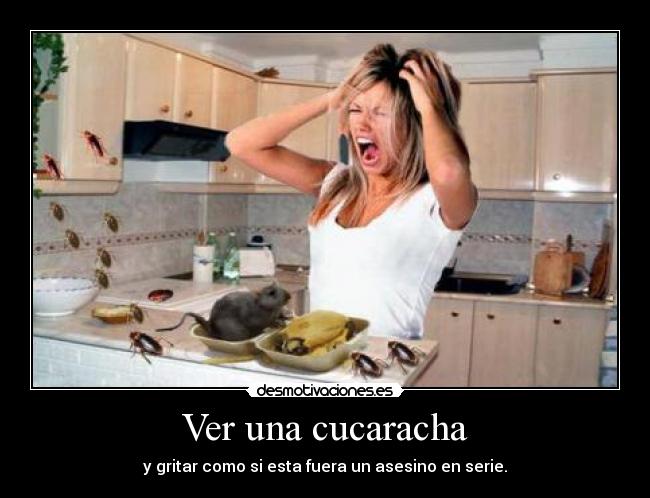 Ver una cucaracha - 