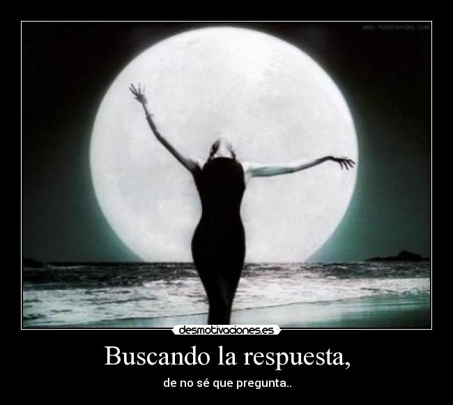 Buscando la respuesta, - 