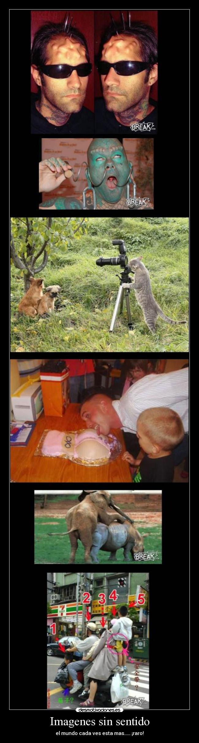 Imagenes sin sentido - 