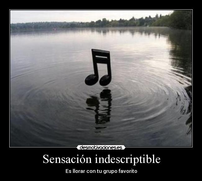 carteles sensacion indescriptible desmotivaciones
