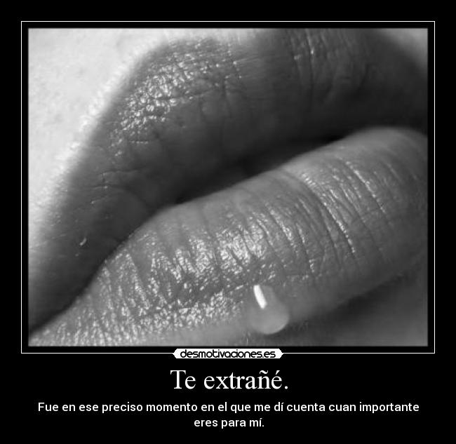 Te extrañé. - Fue en ese preciso momento en el que me dí cuenta cuan importante eres para mí.