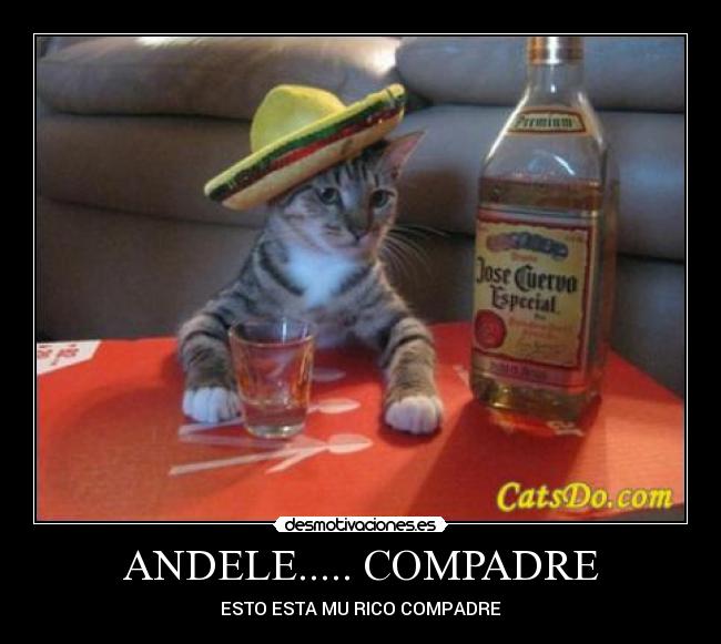 carteles andele compadre desmotivaciones
