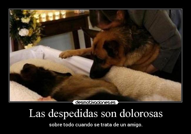 Las despedidas son dolorosas -