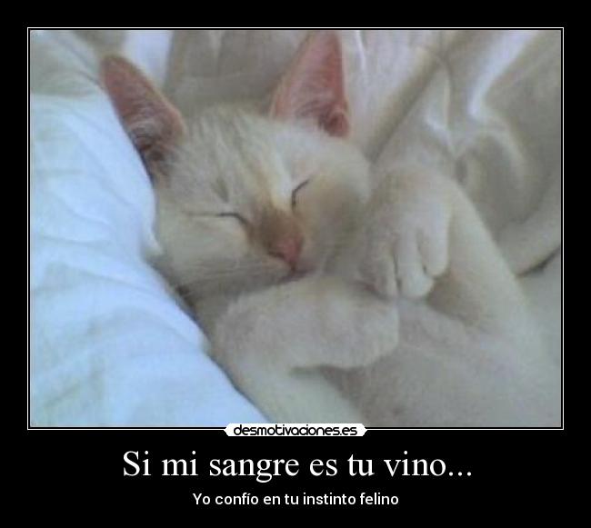 Si mi sangre es tu vino... - Yo confío en tu instinto felino