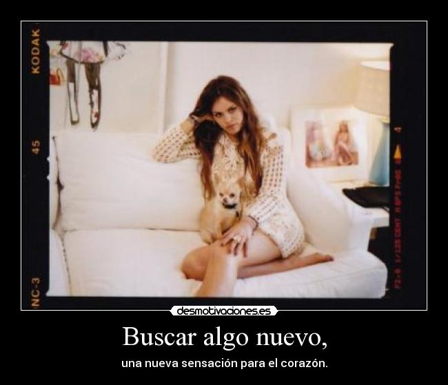 Buscar algo nuevo, - una nueva sensación para el corazón.