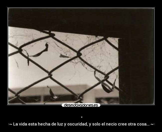 . - ·~ La vida esta hecha de luz y oscuridad, y solo el necio cree otra cosa... ~·