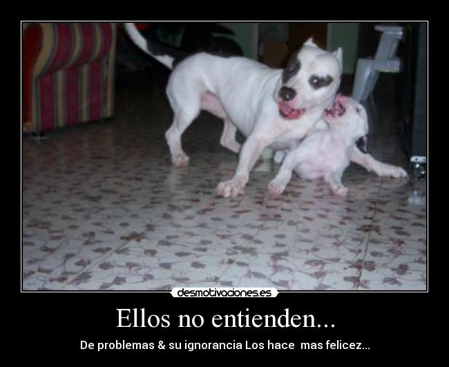 carteles mgo desmotivaciones