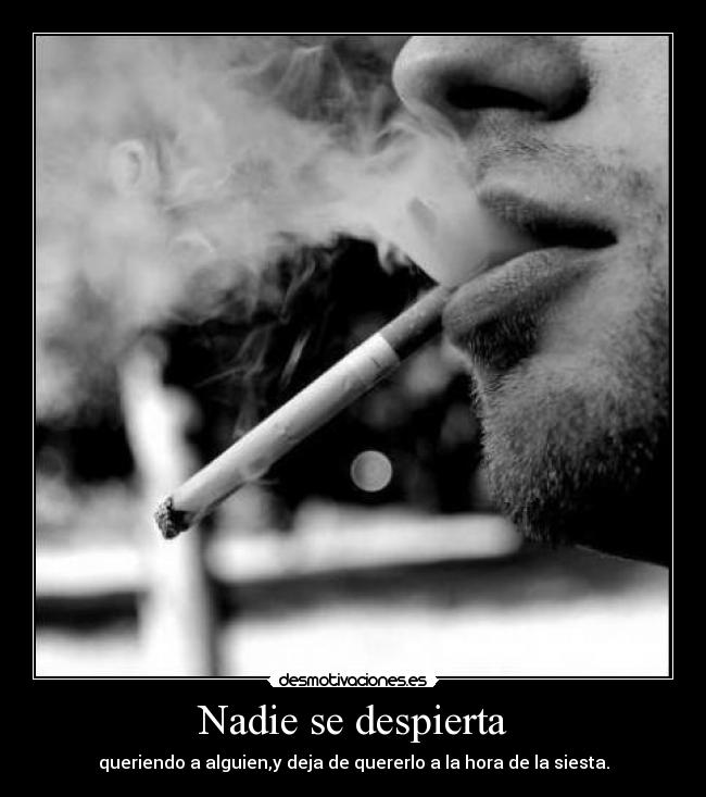 Nadie se despierta - 