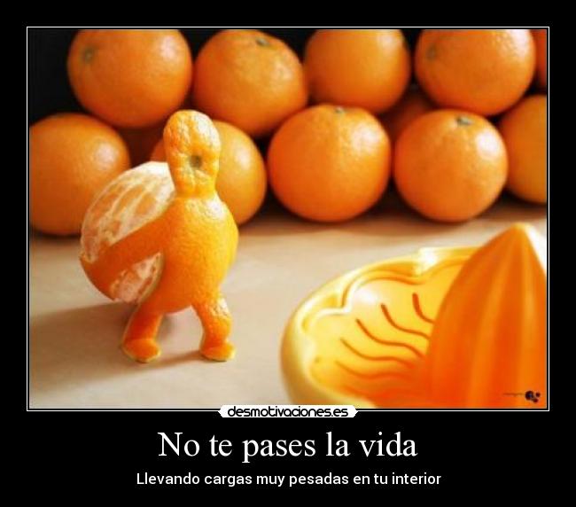 No te pases la vida - 