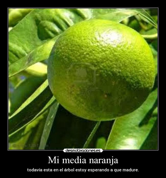 Mi media naranja - 