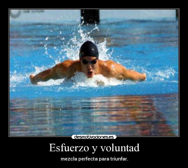 carteles natacion deporte esfuerzo voluntad triunfar desmotivaciones