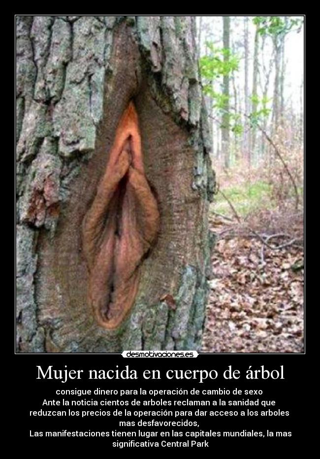 Mujer nacida en cuerpo de árbol - consigue dinero para la operación de cambio de sexo
Ante la noticia cientos de arboles reclaman a la sanidad que
reduzcan los precios de la operación para dar acceso a los arboles
mas desfavorecidos,
Las manifestaciones tienen lugar en las capitales mundiales, la mas
significativa Central Park
