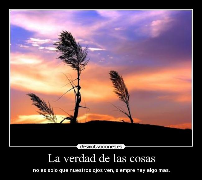 La verdad de las cosas -