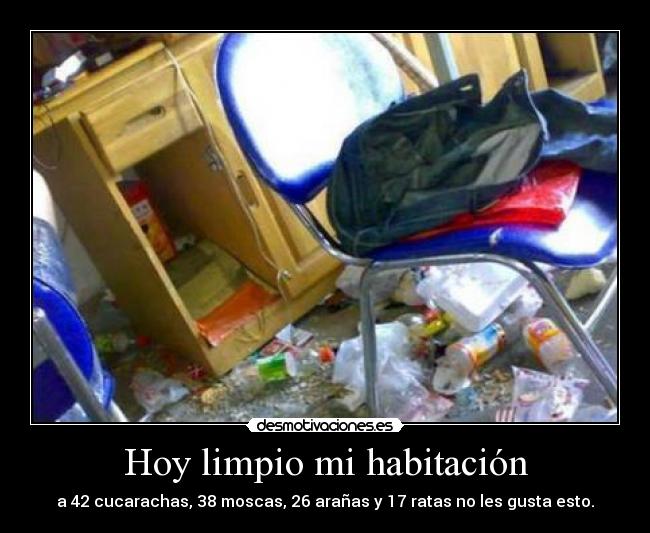 carteles hoy que limpio desmotivaciones