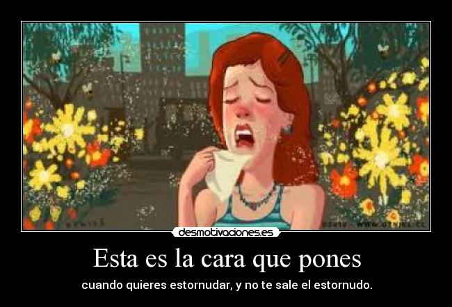 Esta es la cara que pones - 