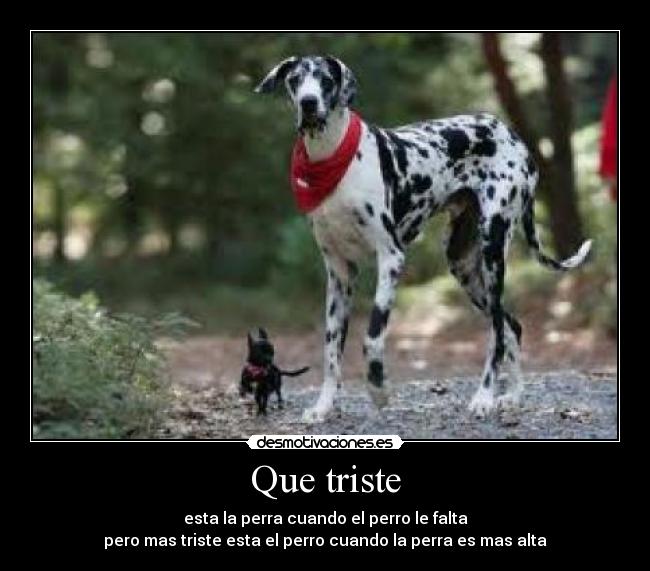 Que triste - 