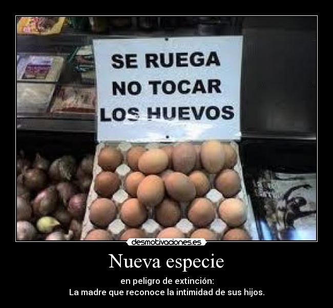 Nueva especie - 