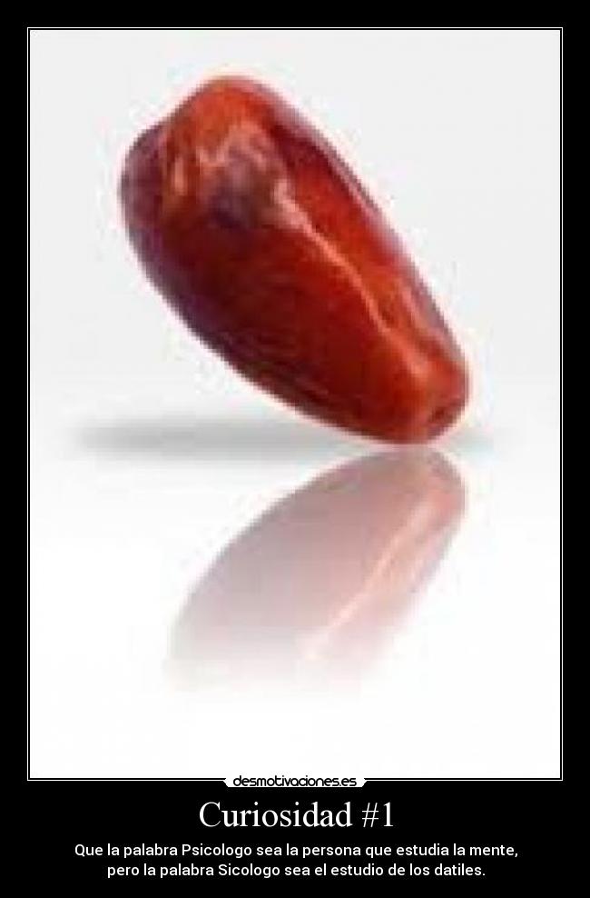 Curiosidad #1 - Que la palabra Psicologo sea la persona que estudia la mente,
pero la palabra Sicologo sea el estudio de los datiles.