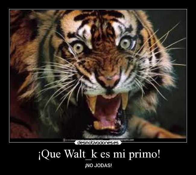 ¡Que Walt_k es mi primo! - ¡NO JODAS!