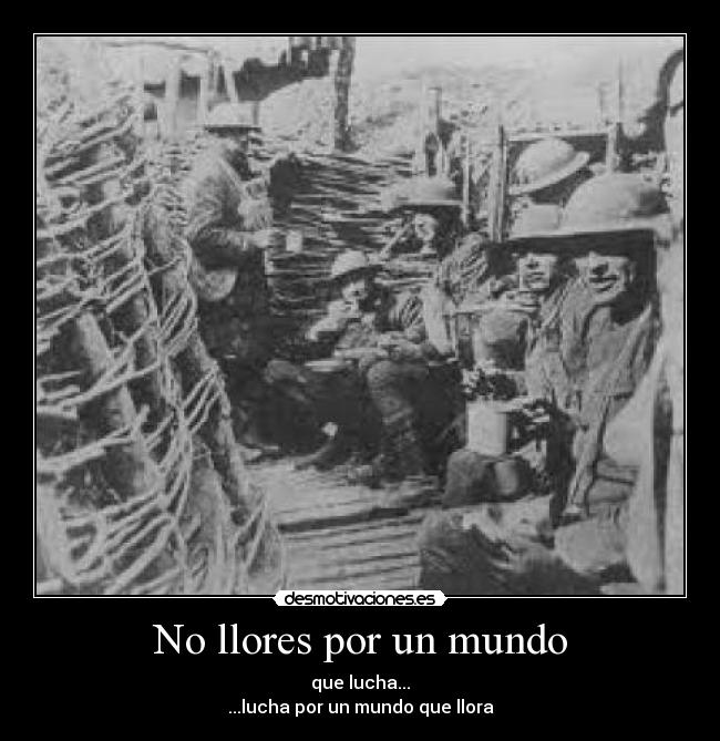 No llores por un mundo -