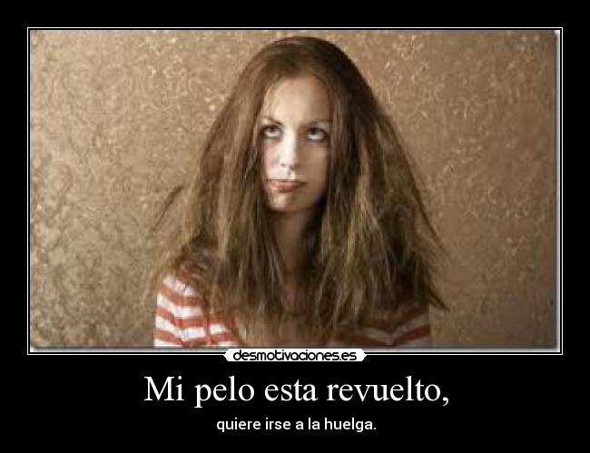 Mi pelo esta revuelto, - quiere irse a la huelga.