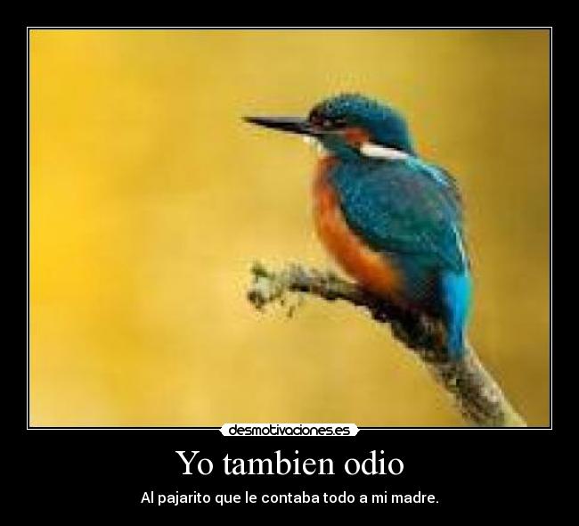 Yo tambien odio - 