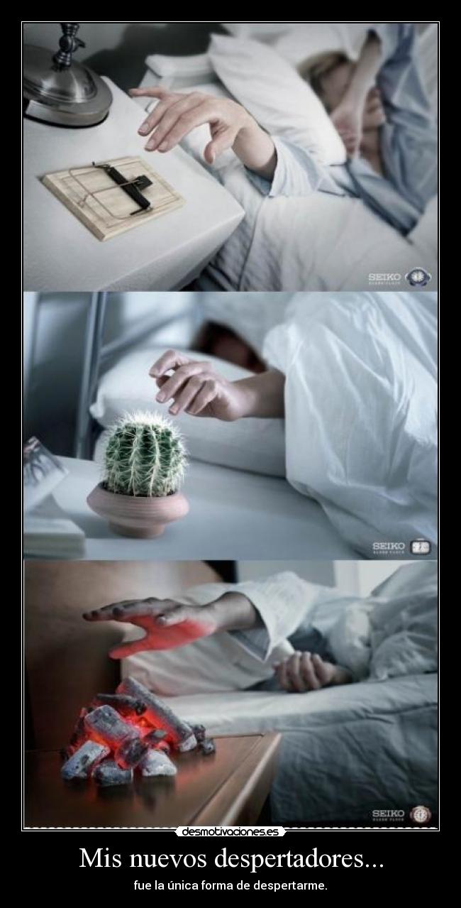 Mis nuevos despertadores... -