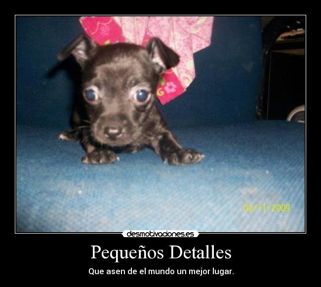 Pequeños Detalles - Que asen de el mundo un mejor lugar.