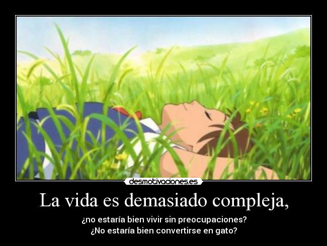 La vida es demasiado compleja, - 