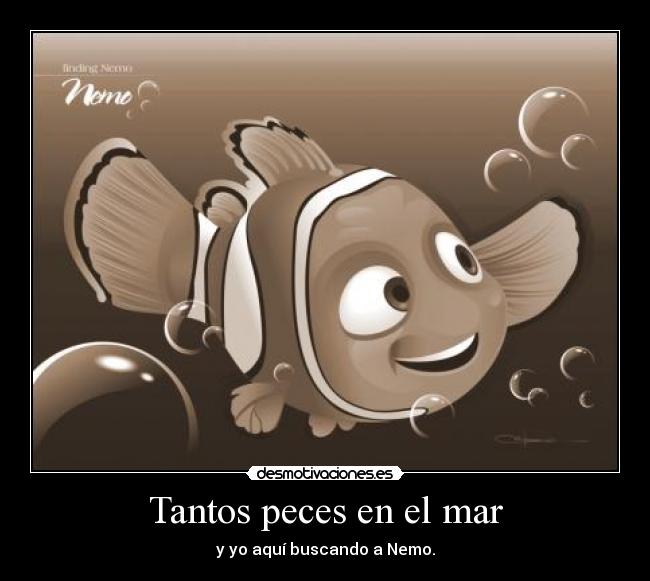 Tantos peces en el mar - y yo aquí buscando a Nemo.