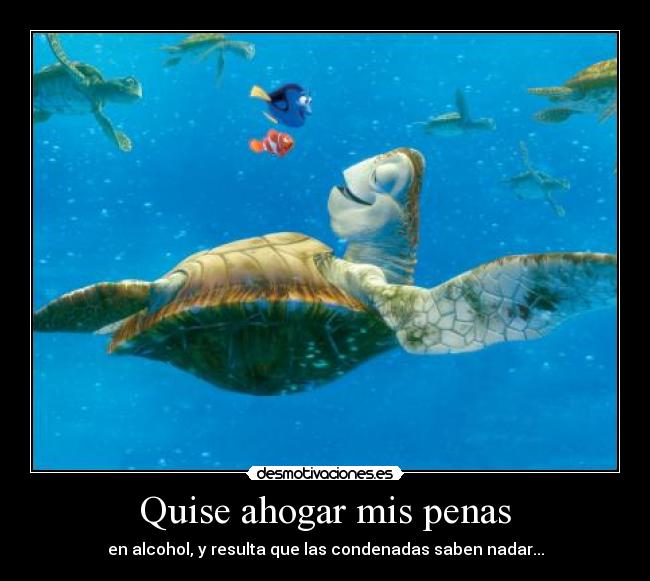 Quise ahogar mis penas - en alcohol, y resulta que las condenadas saben nadar...