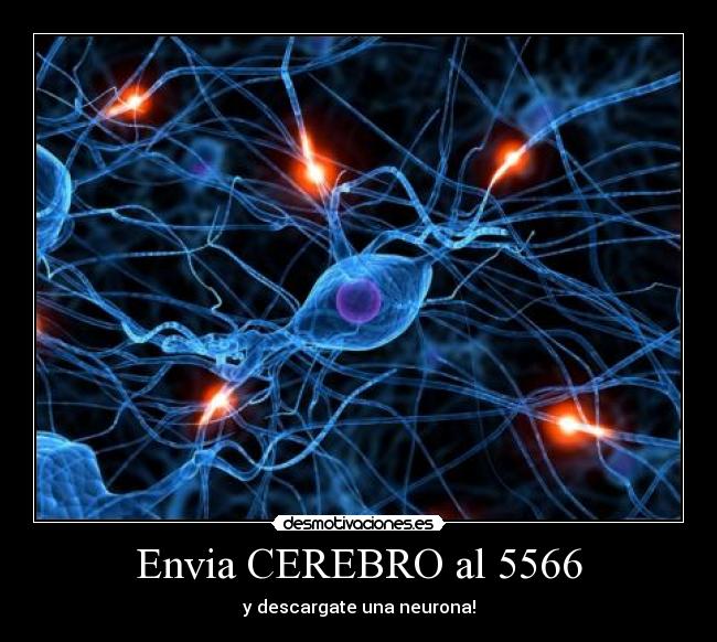 Envia CEREBRO al 5566 - y descargate una neurona!