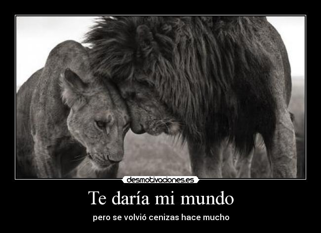 Te daría mi mundo - 