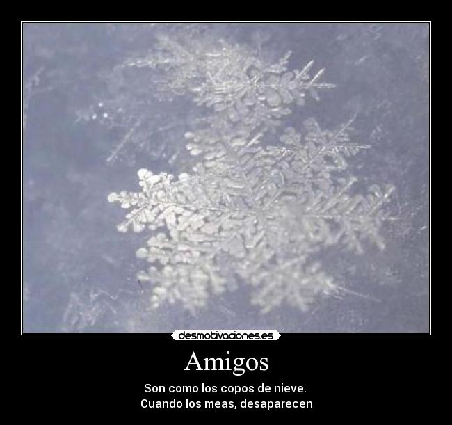 Amigos -